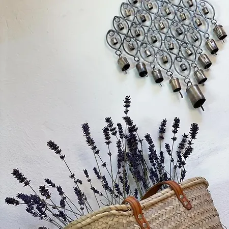 Casa Rural As Bodegas - Villa Rustica Asturias - Boal