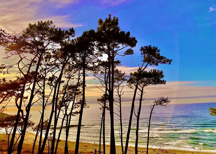 As Bodegas - Rustica Asturias - Semesterbostad